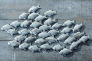 Wandobjekt "Fischschwarm" in 3D-Optik, 97 x 53 cm, grau